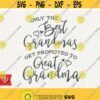 Only The Best Grandmas Svg Get Promoted To Great Grandma Svg Best Grandma Instant Download Best Gigi Ever Svg Great Grandmom Svg Grandmother Design 13