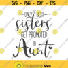 Only the best sisters get promoted to aunt svg aunt svg sister svg png dxf Cutting files Cricut Cute svg designs print for t shirt quote svg Design 223