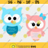 Owl svg owl clipart cute owl svg birthday girl svg birthday boy svg kid svg owl png iron on clipart decal SVG DXF eps png Design 130