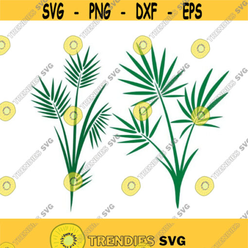 Palm Tree Cuttable Design SVG PNG DXF eps Designs Cameo File Silhouette Design 573