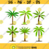 Palm Tree Pack Florida Cuttable Design Pack SVG PNG DXF eps Designs Cameo File Silhouette Design 1426