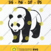 Panda Bear SVG Files Vector Images Clipart Panda SVG Image For Cricut Animal Silhouette Eps Png Dxf Clip Art Zoo Animal svg Design 549