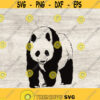 Panda bear Svg bear svg panda svgpanda bear Svg file for cricut Animals Svg Vector Graphics Design 84