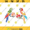 Parrot Bird Island Cuttable Design SVG PNG DXF eps Designs Cameo File Silhouette Design 353