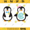 Penguin SVG DXF File Penguin Monogram svg dxf File for Cricut or Silhouette Cute Baby Boy and Girl Penguin Monogram Frame svg dxf Cut Files copy