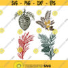 Pine cone Christmas Cuttable Design SVG PNG DXF eps Designs Cameo File Silhouette Design 169