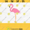 Pink Flamingo Svg Flamingo Png Flamingo Clipart Bird Svg Summer Svg Instant Digital Download Design 798