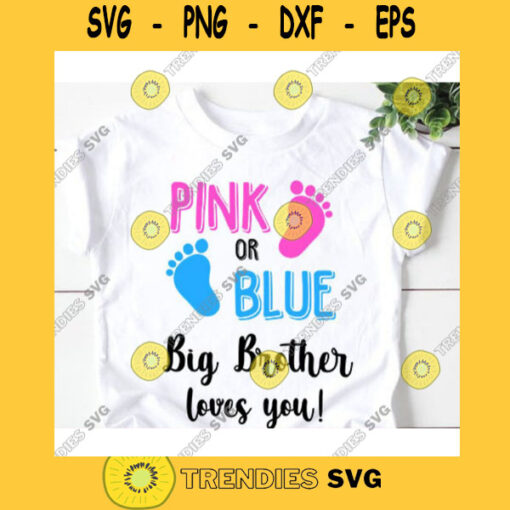 Pink or blue big brother loves you svgBig brother svgPink or blue svgPink or blue we love you svgPink or blue shirtsBoy or girl svg