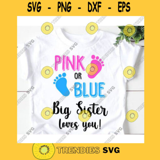 Pink or blue big sister loves you svgBig sister svgPink or blue svgPink or blue we love you svgBoy or girl gender reveal svg