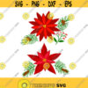 Poinsettia Flower Christmas Cuttable Design SVG PNG DXF eps Designs Cameo File Silhouette Design 295