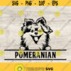 Pomeranian svg dog svg Dog Silhouette Pomeranian clipart Cricut Files Svg Png Eps and Jpg Instant Download Design 104