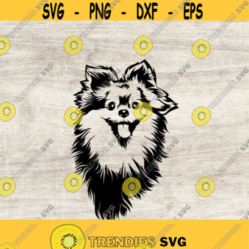 Pomeranian svg dog svg Dog Silhouette Pomeranian clipartbreed Design 286