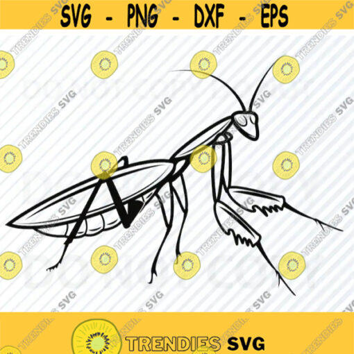 Praying mantis SVG Files Mantis Vector Images Clipart SVG Image For Cricut Insect bug file for silhouette dxf Eps Png Clip Art Design 733