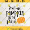 Prettiest Pumpkin In The Patch Svg File DXF Silhouette Print Vinyl Cricut Cutting SVG T shirt Design Thanksgiving Svgpumpkin spice season Design 258