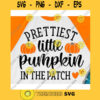 Prettiest pumpkin in the patch svgHello Fall shirt svgFall svg DesignsFall svg shirtAutumn svgPumpkins svgFall Silhouette or Cricut