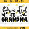 Promoted To Grandma Svg Cut File Grandma Vector Printable Clipart Grandparents Life Quote Bundle Grandma Life Design 1233 copy