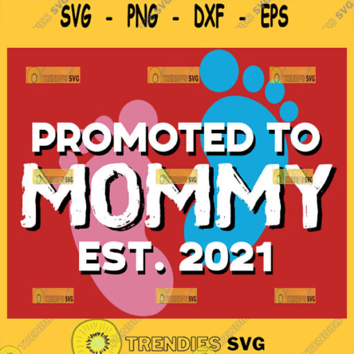 Promoted To Mom Est 2021 Svg Pink And Blue Baby Feet Svg 1