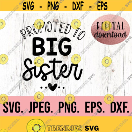 Promoted to Big Sister SVG Big Sister Deisgn New Baby SVG Sibling SVG Sibling Shirt Big Sister In Training Cricut File Download Design 684