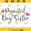 Promoted to big sister svg sister svg png dxf Cutting files Cricut Funny Cute svg designs print for t shirt Design 50