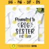 Promoted to big sister svgBig sister est 2021 svgBig sister svgBig sister cut fileBig sister designBig sister shirt svg