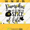 Pumpkin Is The Spice Of Life Fall Svg Fall Quote Svg October Svg Autumn Svg Pumpkin Svg Fall Shirt Svg Fall Sign Svg Fall Decor Svg Design 847