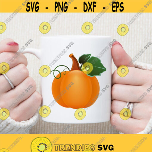 Pumpkin Png Pdf Files Pumpkin Png File Fall Pumpkin Png Pumpkin Clipart Design 297