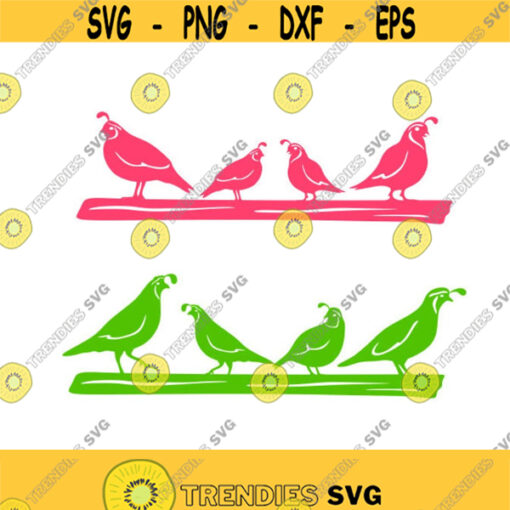 Quail Fall Autumn Birds Cuttable Design SVG PNG DXF eps Designs Cameo File Silhouette Design 1498