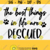 Rescue Dog Svg Files for Cricut Cut The Best Things In Life Are Rescued SVG Rescue SvgPngEpsDxfPdf Dog Cat Pet Lover Svg File Design 728