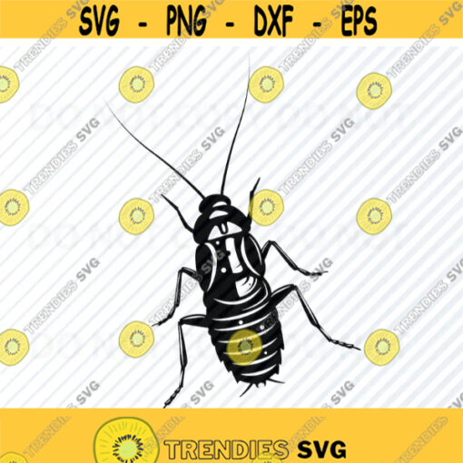 Roach SVG Bug design Vector Images Silhouette Clip Art Cockroach SVG Files For Cricut Eps Png dxf Stencil ClipArt bugs svg Insect svg Design 671