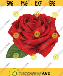 Rose Red Transparent PNG ClipArt Image, Rose Clipart, Rose png, Rose Clip art,sublimation designs, PNG, JPG – Instant Download