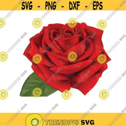 Rose Red Transparent PNG ClipArt Image Rose Clipart Rose png Rose Clip artsublimation designs PNG JPG