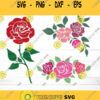 Rose Svg Svg Bundle Flower svg Valentines Day Svg Flowers Svg Floral Svg Svg Svg Files For Cricut Sublimation Designs Downloads