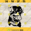 Rottweiler Svg Dog Svg Animal Pet Silhouette and Cricut Files Svg Png Eps Jpg Instant Download Design 63
