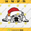 Santa Bulldog Christmas Svg Bulldog In A Santa Hat Christmas Clipart