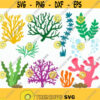 Sea life svg Seaweed svg Bubbles svg Coral svg Ocean life clipart and svg cricut Coral clipart Seaweed clipart Cut files svg dxf pdf png