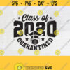 Seniors 2020 The One Where We Were Quarantined Graduation Day Class of 2020 Design Cricut File Digital DownloadDesign 71