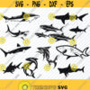 Shark SVG Bundle Sharks svg Vector Images Great White Clip Art for Vinyl Cutting SVG Files For Cricut Eps Png Stencil ClipArt Design 606