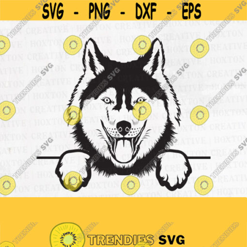 Siberian Husky Svg Husky Svg Peeking Dog Smiling Puppy Paws Pedigree Bloodline Pet BreedDesign 666