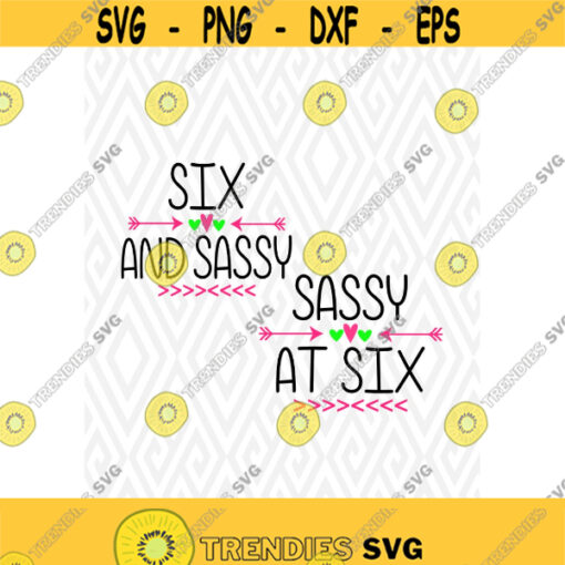 Six and Sassy Cuttable Designs in SVG DXF PNG Ai Pdf Eps Design 143
