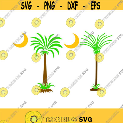 South Carolina palmetto palm Tree Cuttable SVG PNG DXF eps Designs Cameo File Silhouette Design 1063