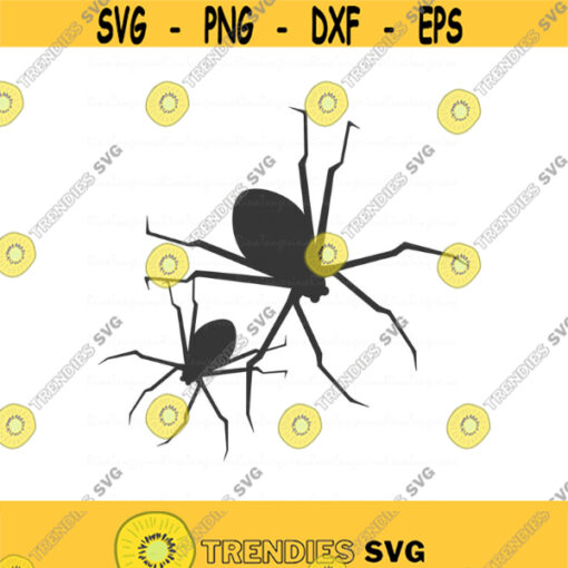 Spider svg halloween svg png dxf Cutting files Cricut Funny Cute svg designs print for t shirt Design 702