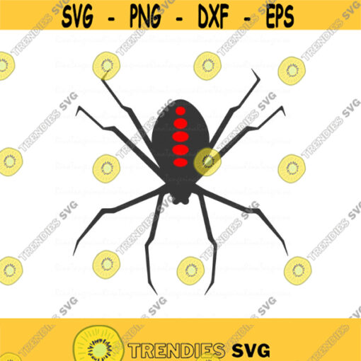 Spider svg png dxf Cutting files Cricut Funny Cute svg designs print for t shirt Design 210