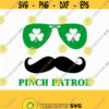 St. Patricks Mustache svg pinch patrol svg St Patricks Day Svg Shamrock SVG CriCut Files svg jpg png dxf Silhouette Design 606