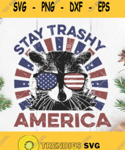 Stay Trashy America Svg 4Th Of July Svg Fourth Of July Svg Trash America Flag Svg Svg Cut Files Svg Clipart Silhouette Svg Cricut Svg F