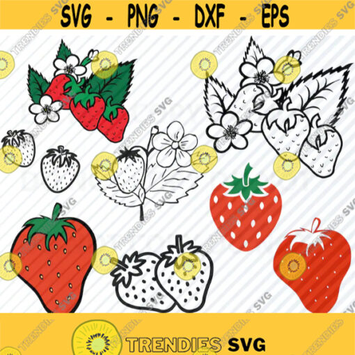 Strawberries SVG Files for Crucut Fruit Vector Images Silhouette Clip Art Strawberry Eps Png dxf ClipArt fruit svg clipart images Design 79