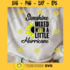 Sunshine Mixed with a Little Hurricane SVG Southern SVG Sunflower SVG Country Lyrics svg Brad Paisley