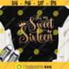 Sweet 16 SVG Sweet Sixteen SVG Its my sweet sixteen SVG 16th birthday digital cut files