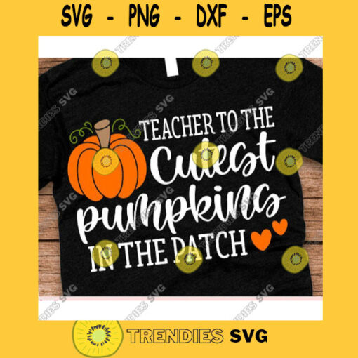 Teacher to the cutest pumpkins in the patch svgHello Fall shirt svgFall svg DesignsFall svg shirtAutumn svgPumpkins svgFall Silhouette