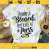 Thankful Blessed And Kind Of A Mess Svg Png Eps Pdf Cut Files Fall Quote Svg Thanksgiving Svg Cricut Silhouette Design 189