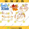 Thankful Pumpkin SVG Thanksgiving SVG Pumpkin SVG Fall Svg Files For Cricut Fall Svg Rustic Svg Pumpkin Clip Art .jpg
